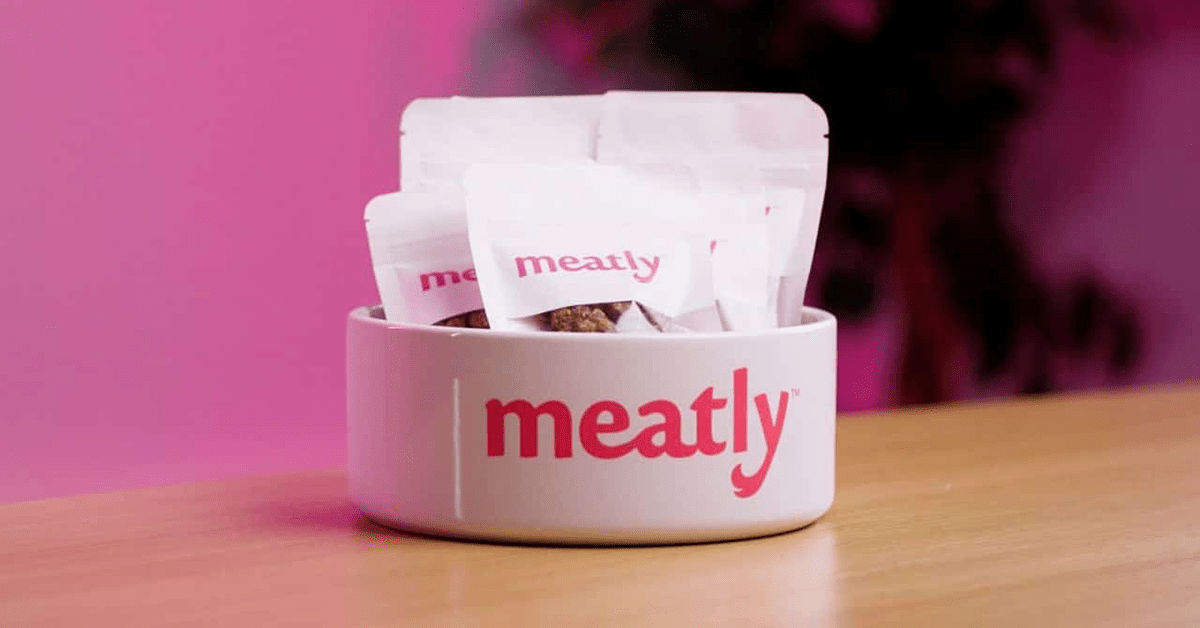 Meatly dog food product in a dog bowl